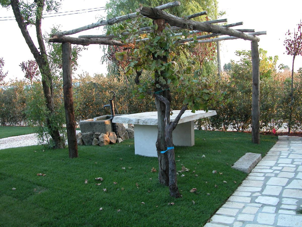 Da Nicola Hotel Montegrotto Terme Exterior photo